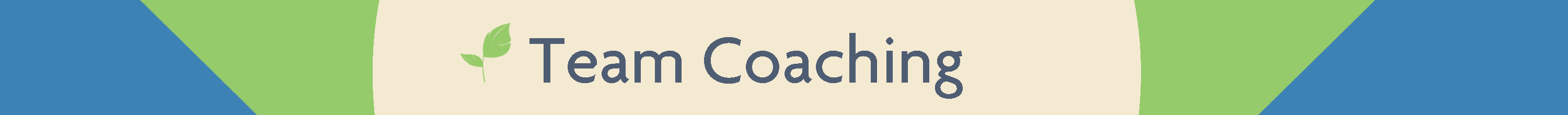 TeamCoachingBanner
